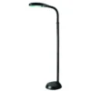 Lite Source Lighting Aptos Black Floor Lamp With Rectangle Shade
